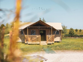 Glamping tent on a holiday park on the IJsselmeer